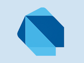 Dart Programming Online Live Training in India